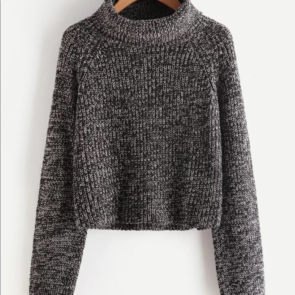 Roll neck knit sweater